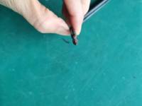 Cable de nailon con aislamiento de PVC de baja tensión, calibres 8, 10, 12, 14, 16 AWG, THWN, THHN, cable de cobre trenzado para instalaciones eléctricas en edificios.