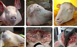 <span class=keywords><strong>Cabeza</strong></span> <span class=keywords><strong>de</strong></span> cerdo hidráulica media Sierra dividida vaca cabra <span class=keywords><strong>cabeza</strong></span> cortador divisor ganado oveja <span class=keywords><strong>cabeza</strong></span> mitades máquina <span class=keywords><strong>de</strong></span> corte dividida - Product Image 6