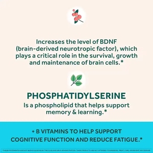 En çok satan doğal fosfatidilserin sağlık için Nootropics beyin takviyesi Gummy geliştirmek