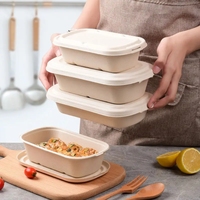 Récipients à emporter jetables en bagasse biodégradable écologique de 750ml Carrés de boîte à lunch jetables