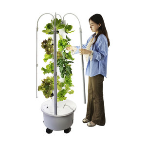 Proveedor Verificado, Sistema de Cultivo Hidropónico en Torre, Más Popular, Torre Hidropónica Spacetree 4P6 - Product Image 1