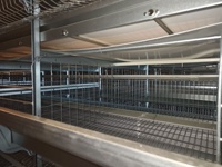 Système d'élevage avicole automatique pour 40 000 poulets, cages d'alimentation pour l'élevage de poulets, système de batterie en acier pour poules pondeuses de type H