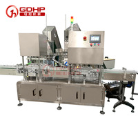 Machine de remplissage automatique de pâte liquide en fer blanc 200ml ligne de production d'eau au kérosène avec bouchon à vis à mèche pour usage chimique