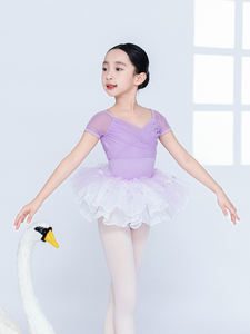 Girls Toddler <strong>Dance</strong> <strong>Dress</strong> Outfit Combo - Product Image 6