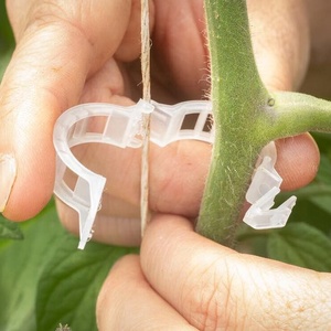 <span class=keywords><strong>Vendita</strong></span> calda in silicone pomodoro innesto traliccio traliccio clip di plastica con Uv per supporto vegetale 23mm - Product Image 2