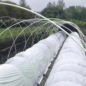 Varillas de Soporte para Plantas a Precio de Fábrica, Estacas de Fibra de Vidrio Cultivada para Frutas - Product Image 5