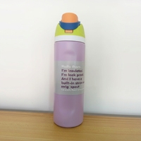 Bouteille d'eau sport isotherme en acier inoxydable violet 19 OZ avec paille intégrée, poignée et bouchon à bec verseur – Idéale pour le cyclisme, les voyages et le fitness
