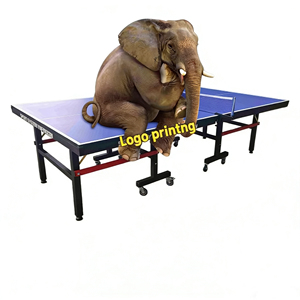 <span class=keywords><strong>Tavolo</strong></span> da <span class=keywords><strong>Ping</strong></span> <span class=keywords><strong>Pong</strong></span> Pieghevole e Mobile per Interni con Piano da 18mm - Product Image 4