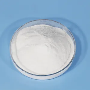 Ritardante di gesso a forma di polvere Set di solfato di calcio ad alta efficienza ritardante di gesso
