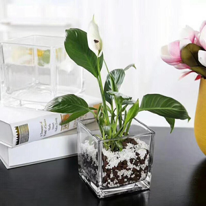 Vase carré <span class=keywords><strong>en</strong></span> <span class=keywords><strong>verre</strong></span> transparent pour hydroponie, <span class=keywords><strong>pot</strong></span> <span class=keywords><strong>de</strong></span> culture, porte-bougie <span class=keywords><strong>en</strong></span> <span class=keywords><strong>verre</strong></span> pour aromathérapie florale – Vente <span class=keywords><strong>en</strong></span> gros usine - Product Image 6