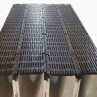Bonde de vidange d'eau de surface pour l'extérieur, en polymère et béton