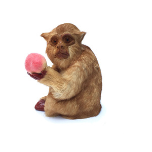 Factory Price 20cm <strong>Monkey</strong> Simulation Model Polyethylene&amp;furs <strong>Monkey</strong> Model Home Decoration Props <strong>Gift</strong> - Product Image 1