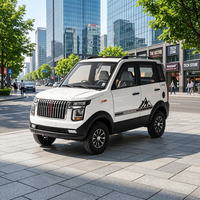 Voiture électrique à énergie nouvelle de couleur personnalisée, 5 places, tout-terrain, mini véhicule, voiture électrique à basse vitesse