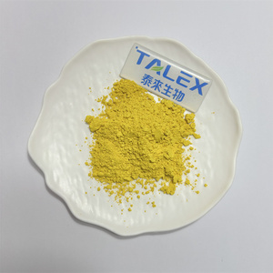 Extracto de Sophora Japonica Natural en Polvo a Granel, 98% de Quercetina Dihidratada - Product Image 2