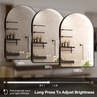 Miroir LED intelligent pour décoration de salon, accessoires et méthode d'installation, miroir en arche
