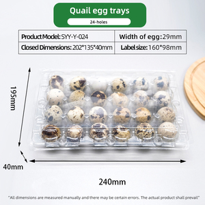Chất Lượng Cao 24 Lỗ Pet Rõ Ràng Nhựa Vỉ Chim Cút Trứng Bao Bì Hộp Container Dùng Một Lần Chim Cút Khay Trứng - Product Image 5