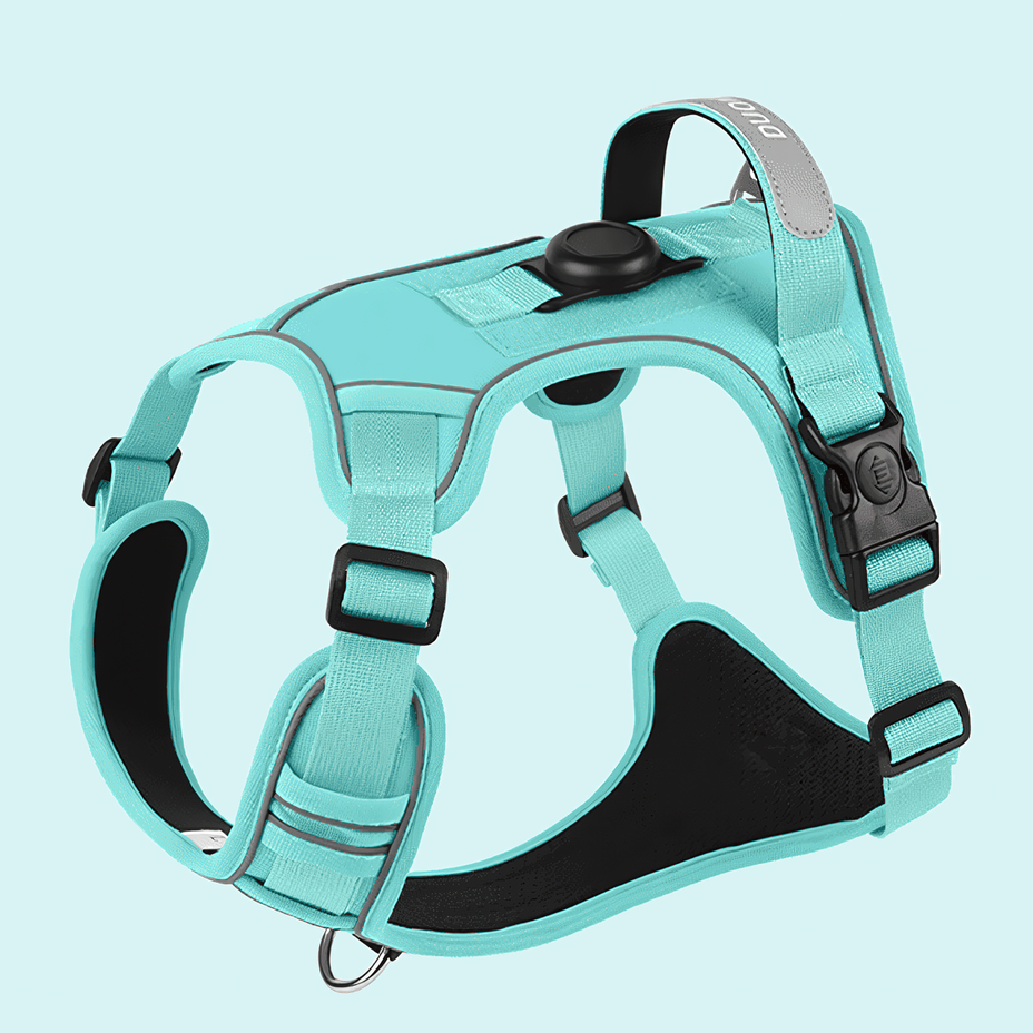 Turquoise with airtag case