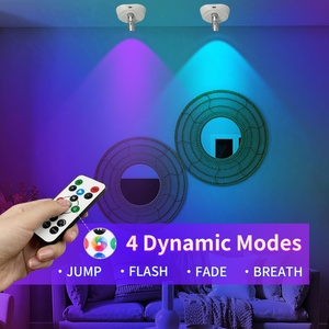 Projecteur LED d'intérieur RGBW avec télécommande, rechargeable, sans fil, à intensité variable, éclairage d'accentuation pour la maison, le bureau et l'éclairage de tableaux - Product Image 5