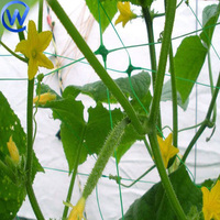 Filet d'échafaudage pour plantes 2*10m Support d'escalade pour plantes Filet de soutien pour plantes pour pois et haricots