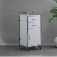 Chariot de rangement en acier inoxydable transfrontalier avec tiroirs, armoire de rangement, étagère au design moderne pour outils de coiffure, usage domestique et professionnel