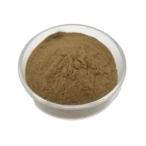 Arugula extract Wholesale Eruca Sativa Powder Rocket Leaf Extract Powder