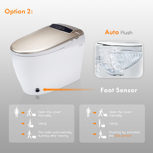 Remote Control One Piece Auto Flush Floor Siphon Flush Smart Toilet T11 Smart Siphon Flush Toilet T11 - Product Image 2