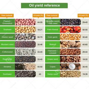 Machine d'extraction d'huile de blé, de palme et d'arachide, compatible avec le diesel alimentaire et les huiles végétales - Product Image 6
