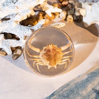 Nouveaux articles : Demi-poids de papier en résine cristalline avec dôme, contenant un insecte ou un crabe véritable, personnalisable, disponible en différentes tailles