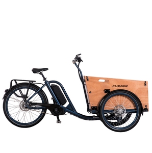 250w Electric Family Cargo <strong>Bike</strong> - Product Image 3