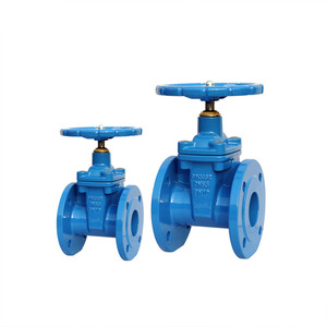 Válvula de Compuerta de Hierro Fundido con Asiento Resiliente DIN PN10 PN16 y Vástago Fijo para Agua y Petróleo - Product Image 1