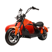 Scooter à trois roues Citycoco 2000W 60V 30AH avec batterie, 50 km/h, GPS, pliable, étanche, avec side-car pour chien
