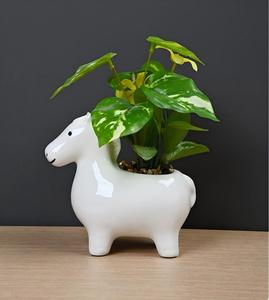 <span class=keywords><strong>Macetas</strong></span> <span class=keywords><strong>de</strong></span> Cerámica Personalizadas para Escritorio, Mini, Lindas, <span class=keywords><strong>con</strong></span> <span class=keywords><strong>Forma</strong></span> <span class=keywords><strong>de</strong></span> Caballo Blanco <span class=keywords><strong>de</strong></span> Dibujos Animados, para Plantas, Flores, Suculentas y Cactus - Product Image 3