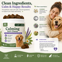 Granulés à mâcher pour chiens OEM ODM avec racine de valériane et L-théanine pour améliorer l'immunité, naturels, 90 pièces/pot