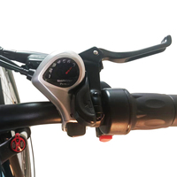 Vélo électrique cargo 26 pouces 48V500W, vélo électrique de ville à louer, batterie facilement remplaçable, vélo de livraison électrique