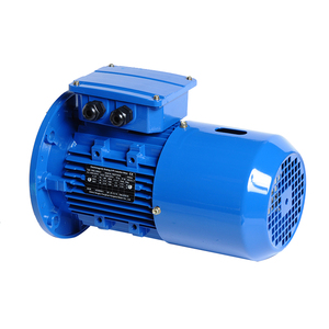 Entrega Rápida Motor de CA de 1500rpm, 1600rpm, 2800rpm, 2900rpm, 3000rpm, 600, 800, 1460, 1500, 1600, 1800, 2500, 2800 RPM - Product Image 3