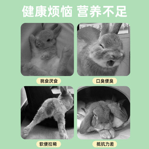 Litière pour lapins en granulés de bois absorbants, désodorisants et écologiques – Fournitures pour petits animaux - Product Image 3