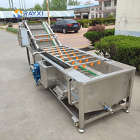 Automatische dadelpoetsmachine, voedselveilige roestvrijstalen bubbelwasser met ozon voor de verwerking van dadels