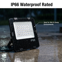Projecteur LED DC 12V 24V 30W à Haute Efficacité et Économie d'Énergie - Ventes Flash