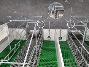 Caisses de mise bas triangulaires de 2,4 m de long utilisant un plancher à lattes - Product Image 4