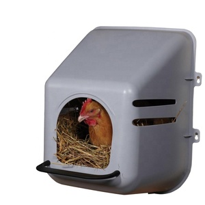 Free Range Backyard Chicken Coop Large Plastic, Modern Hen House Chicken House Garden