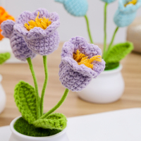 Gehäkelte Blume Handgefertigte Schnur Gewebte Wolle Maiglöckchen Topfpflanze für Innenraum-Dekoration