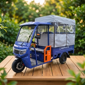 Leisure Passenger-carrying <b>Gasoline</b> Tricycle Motorcycle, High-speed Tuk-tuk with Canopy - Product Image 3