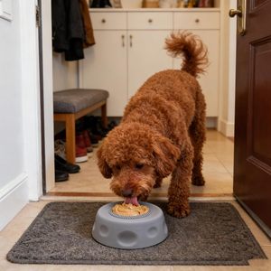 2026 Gamelles anti-gloutonnement pour chiens, pour aliments liquides, bouillon d'os, yaourt, avec boule à lécher roulante en silicone antidérapante - Product Image 4