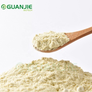 Fornecedor de Pó de Limão Liofilizado em Grande Escala, Pó de Limão de Alta Pureza - Product Image 2