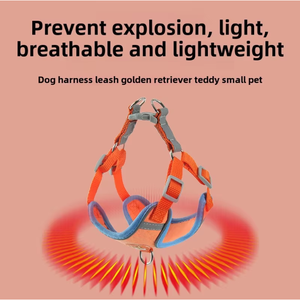 Arnés para perros personalizable respetuoso con el medio ambiente, resistente al agua, a prueba de mordeduras, correa para mascotas - Product Image 4