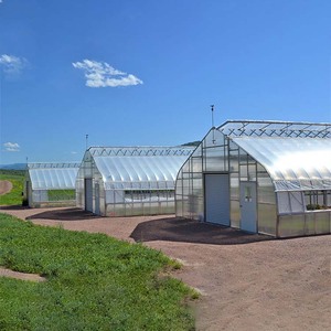 Invernadero de Fábrica Baolida de 8x37.5m y 4m de Altura con Puerta, Techo de Lámina y Película de Polietileno para Jardín Trasero - Product Image 4