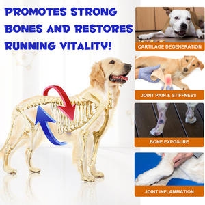 อาหารเสริมสำหรับสัตว์เลี้ยง รสเป็ด 180 เม็ดเคี้ยวได้ สำหรับสุนัข บรรเทาอาการปวด บำรุงข้อและสะโพก ขายส่ง - Product Image 2