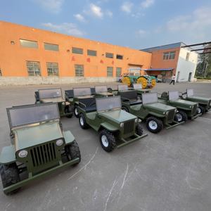 QIQU 30 км/ч вездеход для парков развлечений 48 В 500 Вт мотор 2-местный для взрослых и детей коммерческий Электрический мини-джип автомобиль - Product Image 4