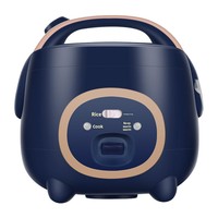 Mini Cuiseur à Riz Électrique Faible en Glucides 18L 110V/220V Source Usine