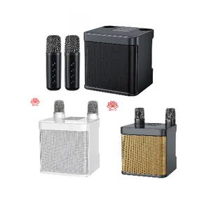 High-Class Wireless Music Speaker Indoor Stage Sound home theatre System dj Bluetooth speaker with mic